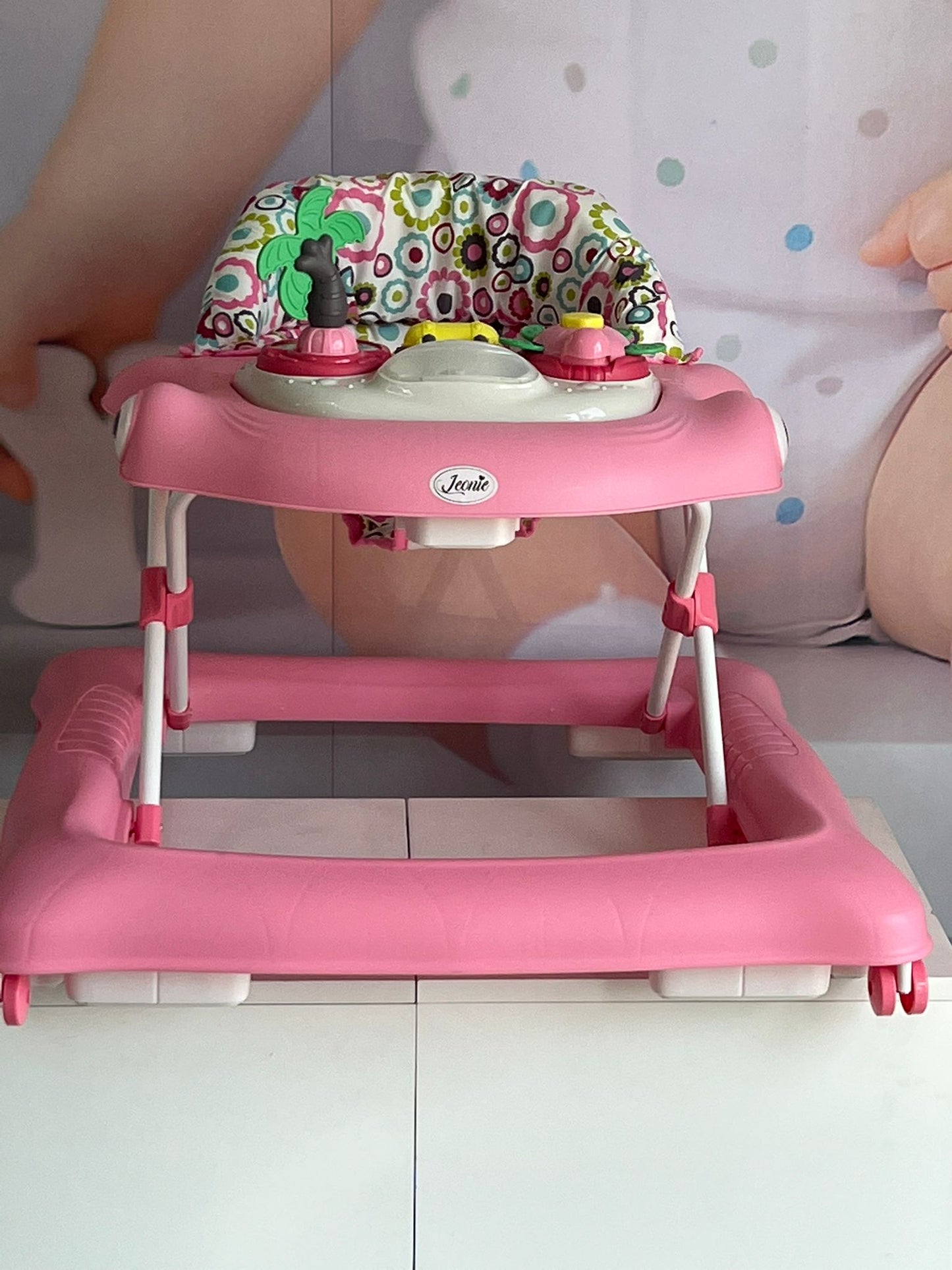 GIRELLO LEONIE SHARKY