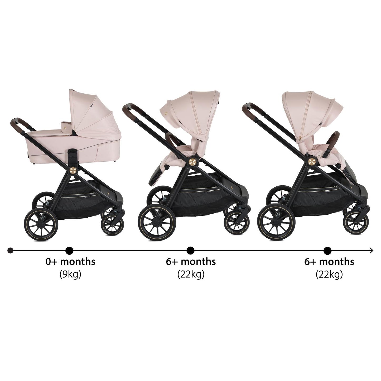 TRIO CELEBRITY CON OVETTO COMPRESO