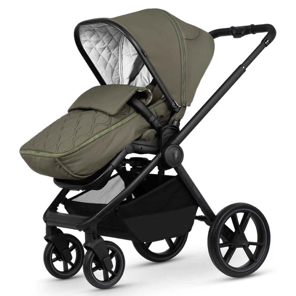 VENICCI TINUM EDGE MOSS