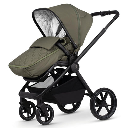 VENICCI TINUM EDGE MOSS