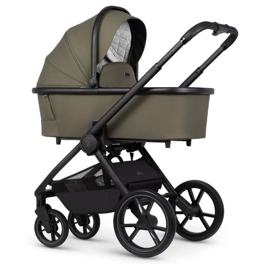 VENICCI TINUM EDGE MOSS