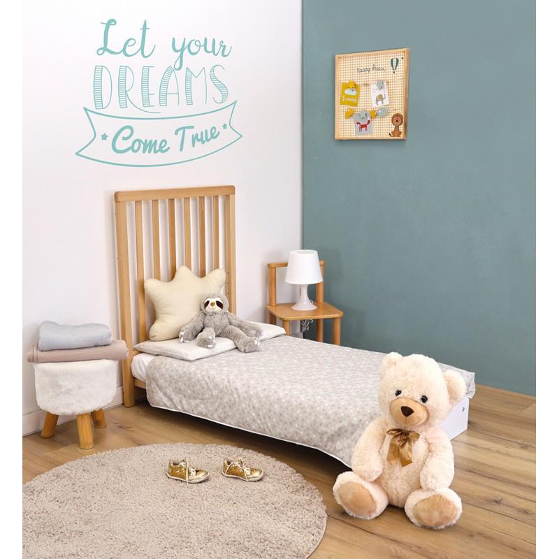 CULLA EVOLUTIVA AVANT