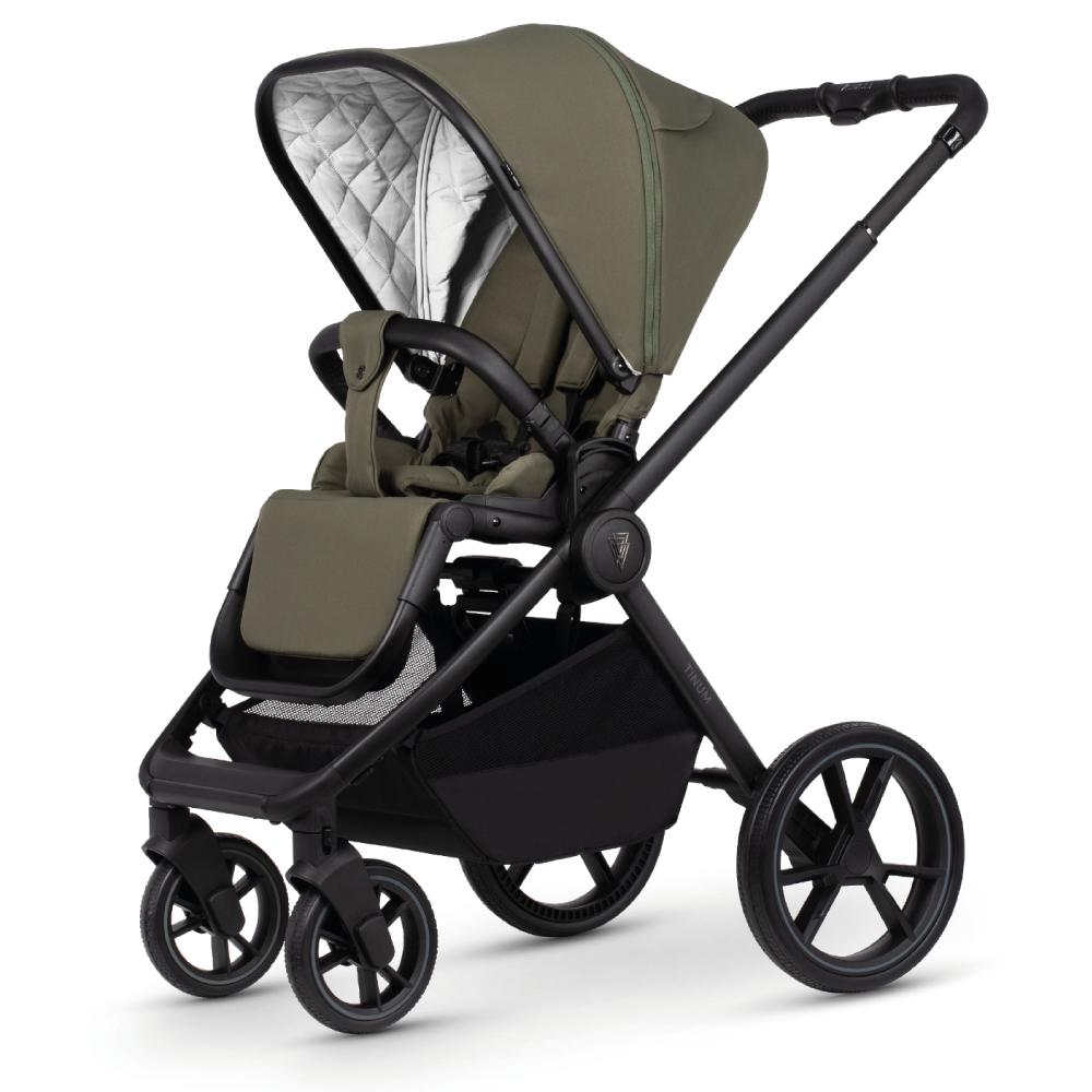 VENICCI TINUM EDGE MOSS