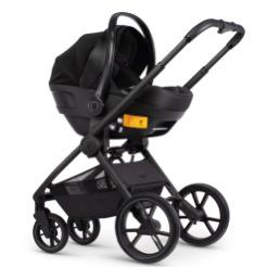 VENICCI TINUM EDGE MOSS